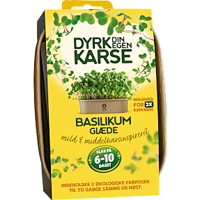 Karse, Basilikumkarse, dyrkesæt