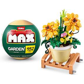Max Build have planter - Cosmos Sulphureus