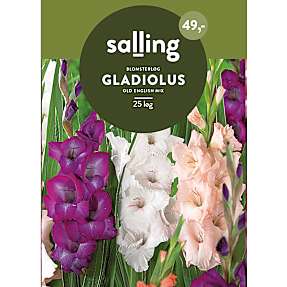 Salling blomsterløg Gladiolus Mix
