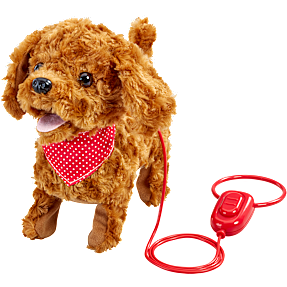 Happy Pets walk along - Cockapoodle