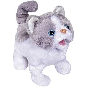 Chi chi elektronisk kat 15 cm