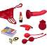 Sinful Women’s Pleasure Box