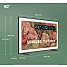 Samsung 50" The Frame TQ50LS03D (2024)