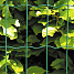 HORTUS havehegn PVC-fri, 5 x 10 cm, 120 cm x 25 m - grøn