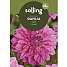Salling blomsterløg - Dahlia Sandra
