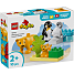 LEGO DUPLO Vilde dyrefamilier: pingviner og løver 10442
