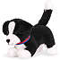 Our Generation Border Collie hvalp