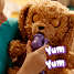 Baby paws labradoodle bamse 25 cm