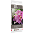 Pindstrup hortensiamuld rød 20 liter