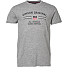 Vinson herre T-shirt str. L - grå
