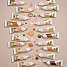 Foundation 50 Natural Rose