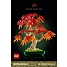 LEGO Botanicals Bonsaitræ japansk løn 10348