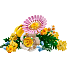 LEGO Botanicals Lille sommerlig buket 10347