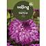 Salling blomsterløg - Dahlia Skiron