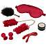 Sinful Women’s Pleasure Box
