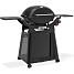 Weber Q3200N+ gasgrill