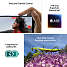 iPhone 16 256GB - pink