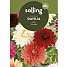 Salling blomsterløg - Dahlia Mix