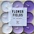 Windsor fyrfadslys med duft 18-pak - flower fields