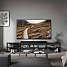 Samsung 65" QLED TV TQ65Q60D (2024)