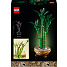 LEGO Botanicals Lykkebambus 10344