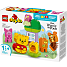 LEGO DUPLO Disney Peter Plys' fødselsdagsfest 10457
