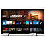 Philips 65'' UHD TV 65PUS8009 (2024)