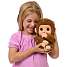 Little Live Pets my baby monkey