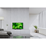 Sony 32" LED TV KD32W804P1