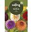Salling blomsterløg - Dahlia Mix