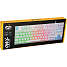 FIFTYSIXTY 5060 owl gaming keyboard
