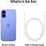 iPhone 16 Plus 256GB - Ultramarine