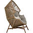 Palma loungestol - natur