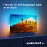Philips 65'' UHD TV 65PUS8009 (2024)