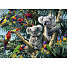 Koalaerne i træet puslespil - 500 brikker