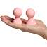 baseks Pink Silikone Nipple Suckers
