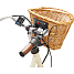SCO Premium E-Dutch dame elcykel 8 gear 28" 15AH 2025 - råhvid