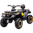 ATV