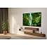 Samsung 50" UHD TV TU50U8005F (2025)