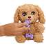 Baby paws labradoodle bamse 25 cm