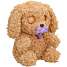 Baby paws labradoodle bamse 25 cm