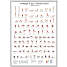 Yoga poses - 70x100 cm