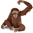 Schleich Orangutang hun 14775