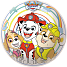 Paw Patrol bold