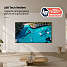 SAMSUNG 98" UHD TV TU98DU9005 (2024)