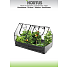 HORTUS mini drivhus med bund