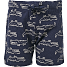 VRS baby shorts str. 86/92 - blå