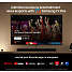 Samsung 55" NeoQLED TV TQ55QN90D (2024)