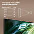 Samsung 55" NeoQLED TV TQ55QN90D (2024)