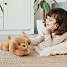FAO Schwarz Doodle bamse 38 cm